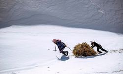 Yardımlaşmanın fotoğrafı