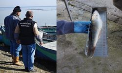 Beyşehir Gölü'nde yasa dışı av denetimleri sürüyor