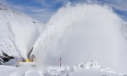 Hakkari'de kardan kapanan köy yollarında hummalı çalışma