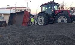 Römork devrildi: Yol, ayçiçeği harmanına dönüştü