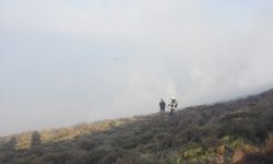 Sinop’ta ot yangını! 30 dönümlük alan zarar gördü