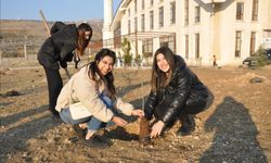Şırnak Üniversitesi’nde fidanlar toprakla buluşuyor