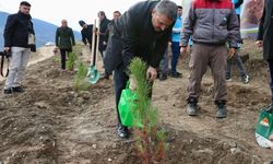 Tokat Belediyesi 10 yılda 260 bin fidanı toprakla buluşturdu