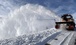 Ardahan'da karla mücadele çalışması yapılıyor