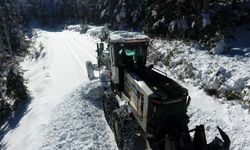 Artvin'de turizm rotalarında karla mücadele çalışması sürüyor