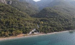 Aydın’da 1 yılda 20 bin gelir getirici fidan toprakla buluştu