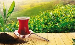 Türk çayına en çok rağbet Belçika'dan