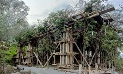 Bodrum'da ağaç dallarıyla gizlenmiş kaçak yapıya yasal işlem