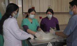 ERÜ Hayvan Hastanesi'nde 23 bin 942 hayvan şifa buldu