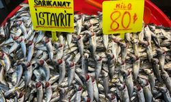 Marmara’da hava bozdu, balık fiyatları fırladı