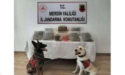 Mikrodalgadan bile uyuşturucu çıktı, 2 şüpheli tutuklandı