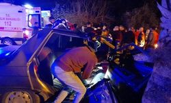 Otomobil palmiye ağacına çarptı: 1 ölü, 2 yaralı