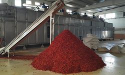 İslahiye'den 25 ülkeye 1 milyon dolarlık pul biber ihraç edildi