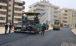 Şanlıurfa'da asfalt çalışmaları sürüyor