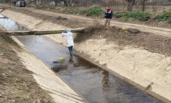 Sulama kanalında ceset bulundu
