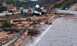 Tomruk yüklü kamyon kaza yaptı: 1 ölü