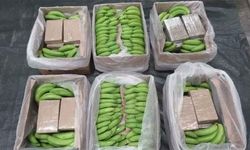 İngiltere'de muz yüklü konteynerde 5,7 ton uyuşturucu yakalandı