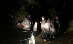 Ayvalık’ta 15 düzensiz göçmen yakalandı