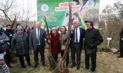 Büyükşehir üreticilere meyve fidanı dağıtımına başladı