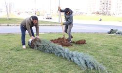Diyarbakır’da ağaçlandırma çalışması