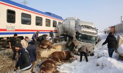Hayvan yüklü TIR'a tren çarptı: 2 kişi hayatını kaybetti