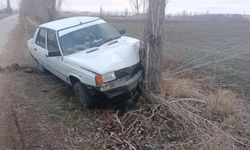 Köpeğe çarpmamak için manevra yapan araç ağaca çarptı: 1 yaralı