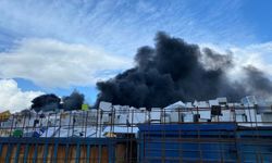 Yangınlara neden olan geri dönüşüm tesisleri kapatıldı