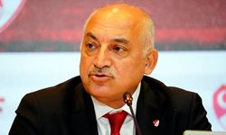 Mehmet Büyükeşki, EURO 2024 öncesi en büyük sorunu açıkladı