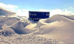 Muş-Kulp yolu ulaşıma açıldı