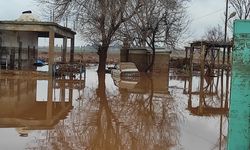 Şanlıurfa'da kırsal mahalleler sel suları altında kaldı