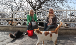 Ünlü ikizler Meral ve Zuhal kardeşler, Kadıköy Moda sokaklarında 150 kediye bakıyor