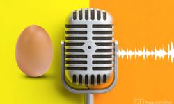Yumurta tüketimi ve ses telleri sağlığı arasındaki bağlantı