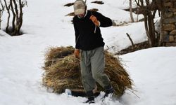 Besiciler 5 aydır kar tesviye edip kızaklarla saman taşıyor
