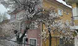 Bolvadin’de kar yağışı etkili oldu