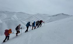 Dağcılar 2 bin 781 rakımlı dağa tırmandı