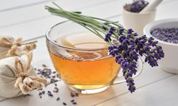 Lavanta çayı: Sağlık için doğal bir destek