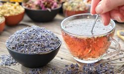 Lavanta çayının faydaları: Doğanın iyileştirici dokunuşu