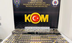 Şırnak’ta asayiş ve kaçakçılık operasyonu: 31 gözaltı