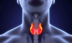 Tiroid hormonunu dengelemenin yolları: sağlıklı bir tiroid için bilinçli adımlar