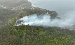 Kastamonu'da orman yangını: Ekiplerin müdahalesi sürüyor