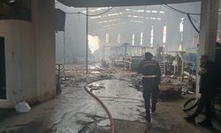 Mersin'de narenciye paketleme tesisinde yangın
