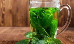 Nane çayı: Ferahlatıcı lezzeti ve sağlık dolu yararlarıyla bilge bitki