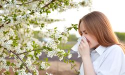 Uzmanından mevsimsel alerjilere karşı uyarı