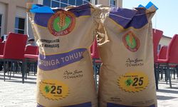 210 çiftçiye 45 ton korunga tohumu dağıtıldı