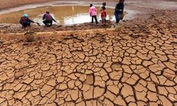 Zimbabve'de kuraklık nedeniyle ulusal afet ilan edildi