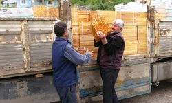 Arıcılara 40 bin arı çıtası dağıtıldı