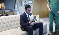 Yaralı kediyi Bayraklı Belediye Başkanı Önal sahiplendi