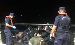 Bodrum'da 44 kaçak göçmen yakalandı