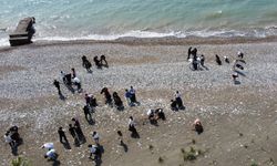 Carettaların yuva yaptığı sahili öğrenciler temizledi