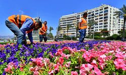 İzmir’de cadde ve sokaklar mis gibi çiçek açtı